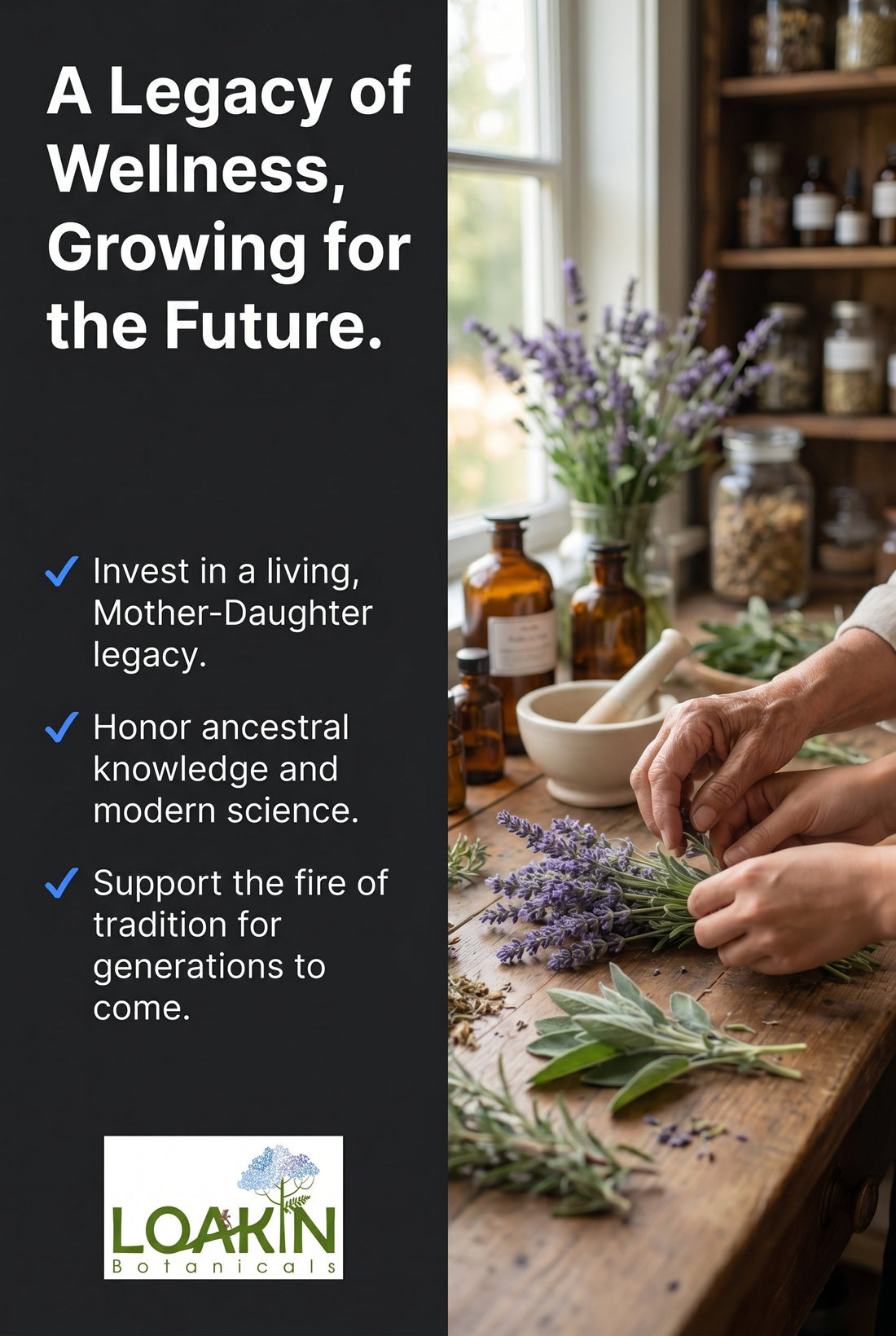 Why I chose to formalize my herbal practice: A journey toward professional maturity.