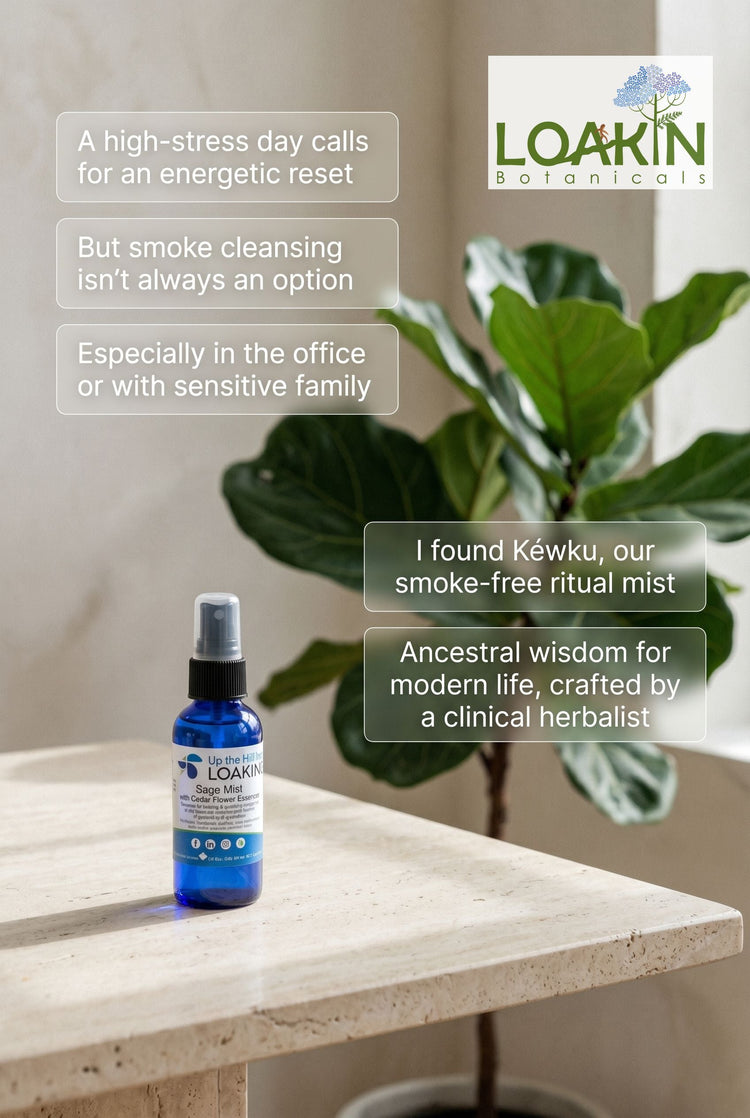 Shop All — Our Full Collection of Botanical Wellness