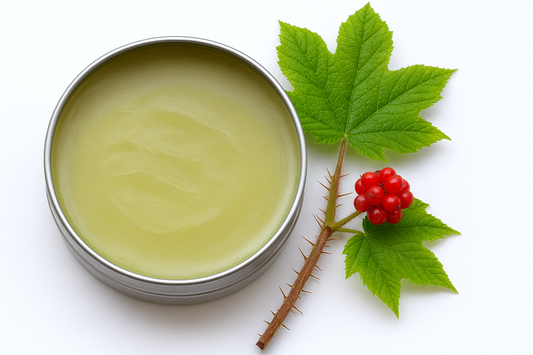 Devils Club and Bears Grease Salve