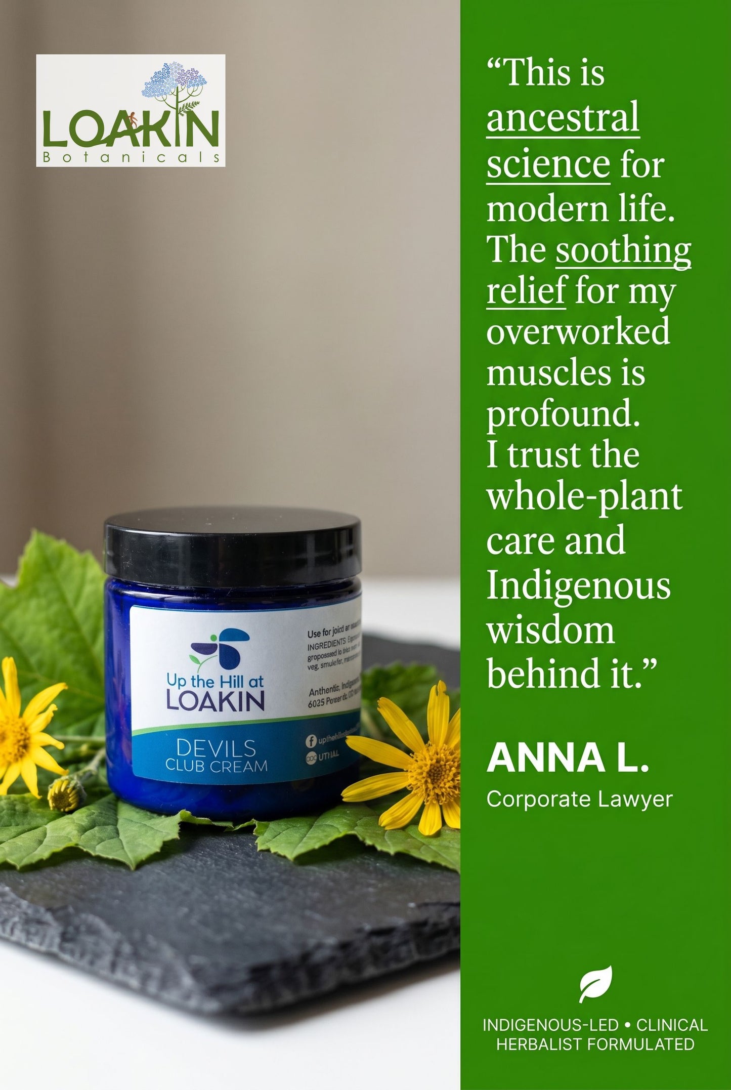 Devil's Club Arnica Cream - Targeted relief for daily discomfort.