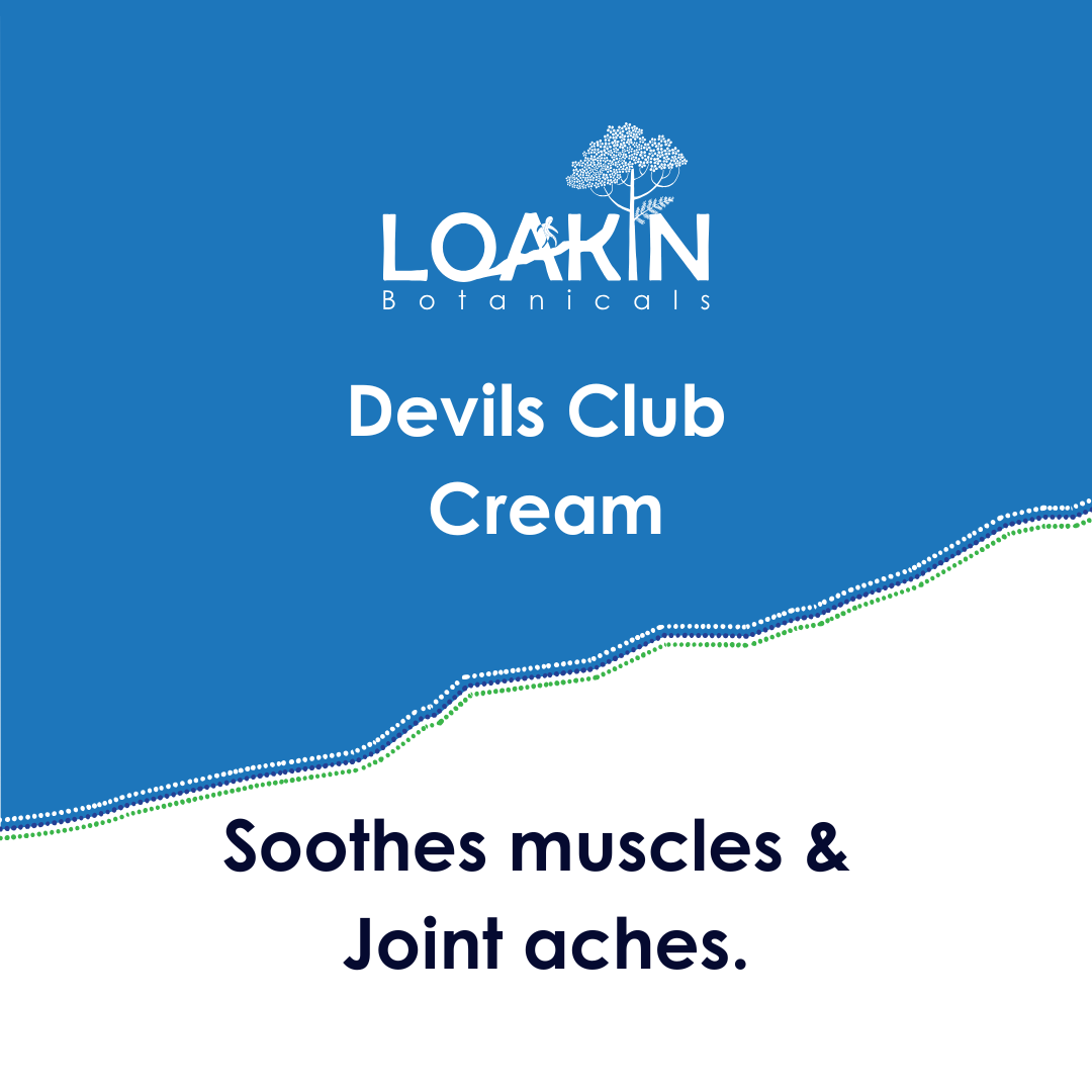 Devil's Club Cream - Pain Relief