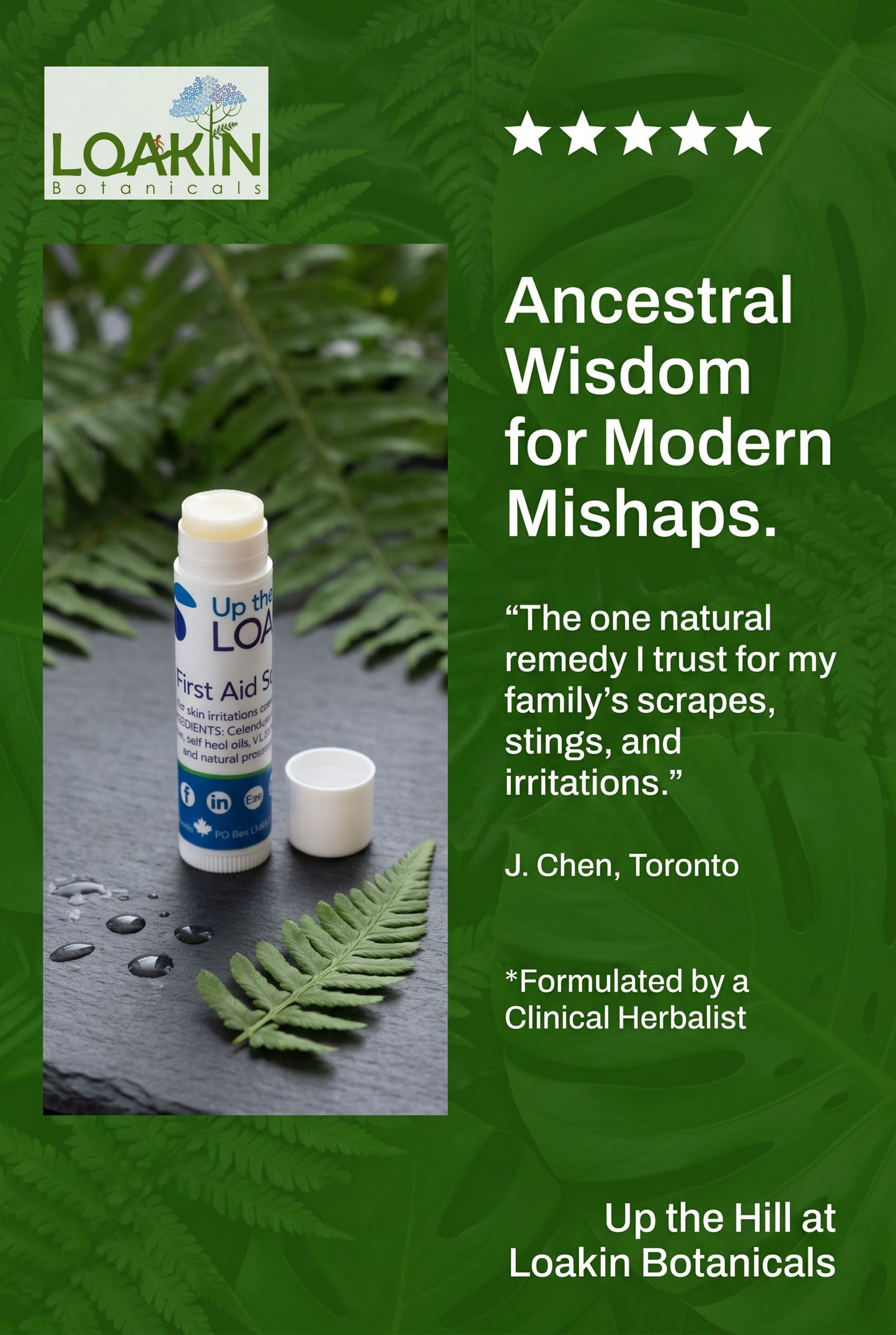 Nature's First Aid by Loakin