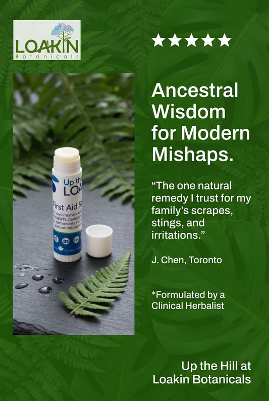 Nature's First Aid by Loakin