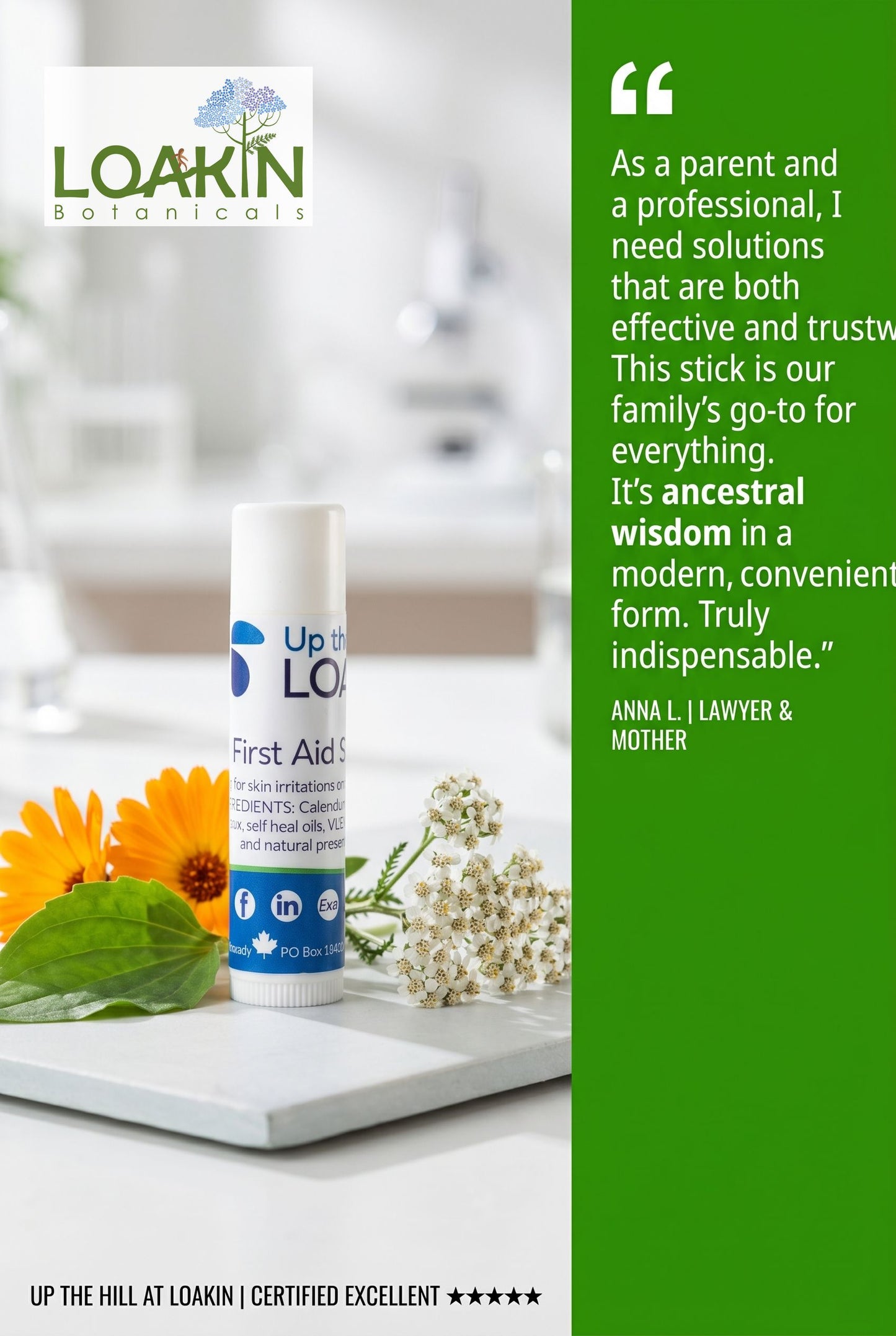 Nature's First Aid by Loakin